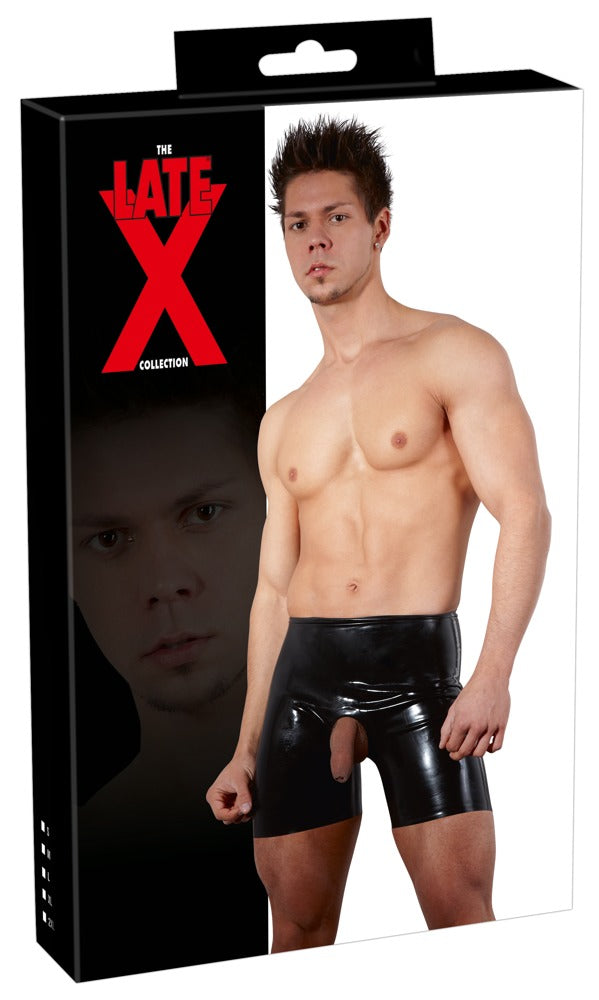 Late X boxer met showmaster - Zwart