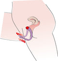 You2Toys Schaamlippenverspreider met G-spot stimulatie - Paars