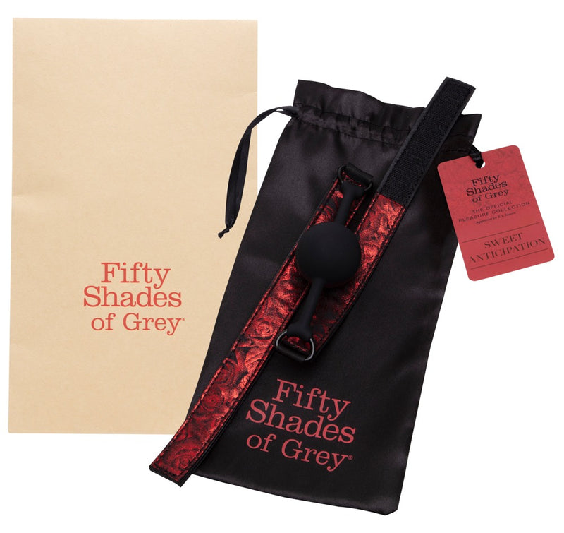 Fifty Shades of Grey Gag - Zwart