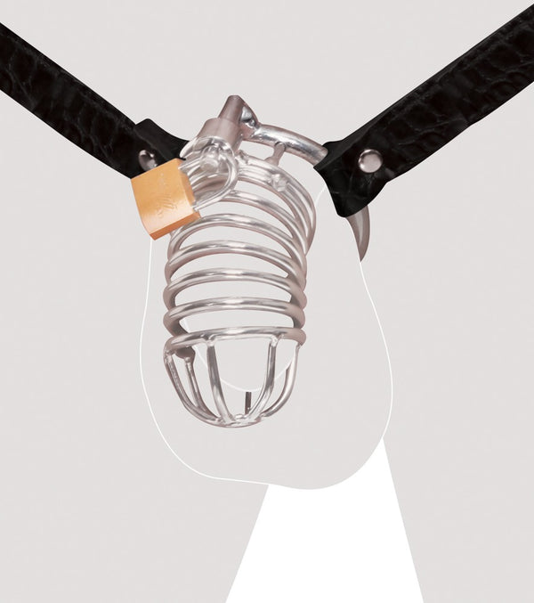 Fetish Fantasy Extreme Chastity riem met leren harnas en balring - Zilver - Fetish Fantasy Extreme - SKU: 5404630000