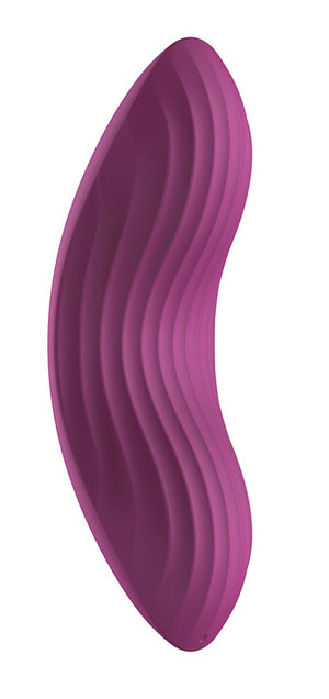 SVAKOM Vibrator - Paars