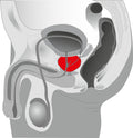 You2Toys Prostate twister - Zwart