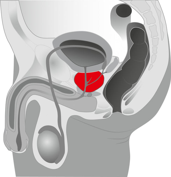 You2Toys Prostate stimulator - Zwart - You2Toys - SKU: 5844440000