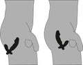 Rebel Prostate vibrator - Zwart