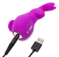 happyrabbit Clitorale viool vibrator - Paars