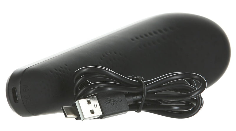 PalmPower Massagestaaf - Zwart
