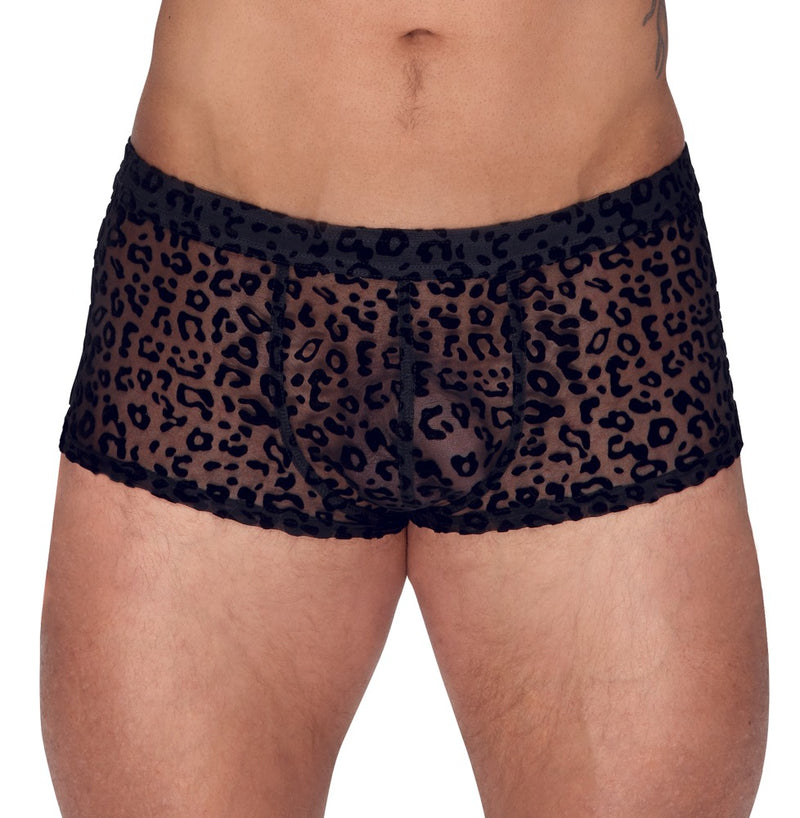 Noir Boxer - Zwart