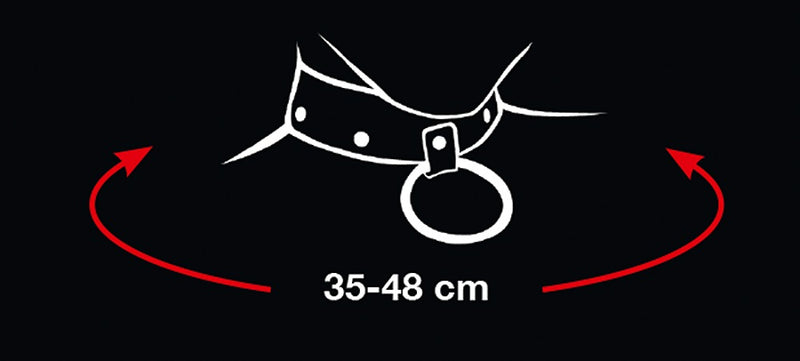 Bad Kitty Halsband met riem en rode hartjes - Zwart
