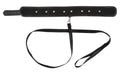 Vegan Fetish Halsband met spikes en riem - Zwart