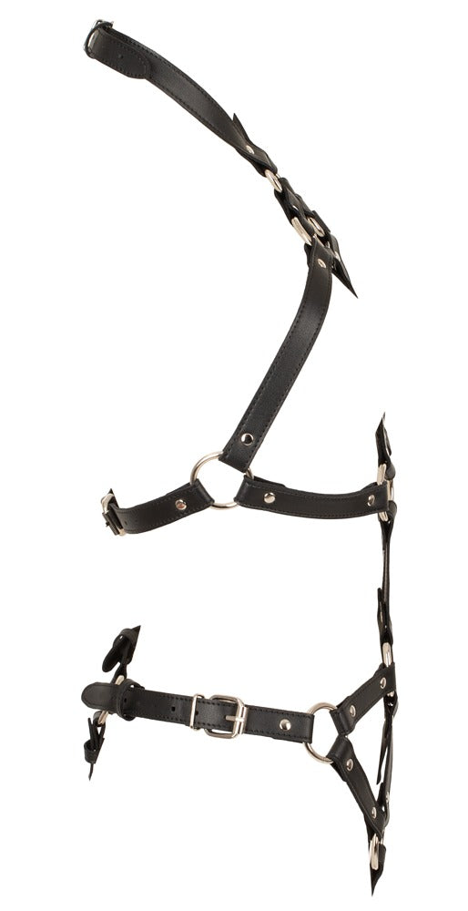 Bad Kitty Harnas - Zwart - Bad Kitty - SKU: 24938701101