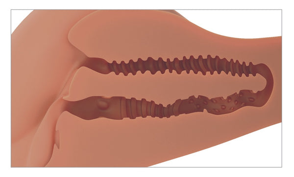 PDX Plus 360° torso-masturbator - Huidskleur Licht - PDX Plus - SKU: 50016840000