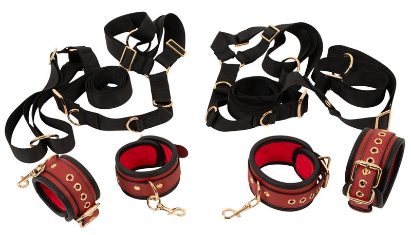 Bad Kitty Bedbeugel met goud accessoire - Zwart