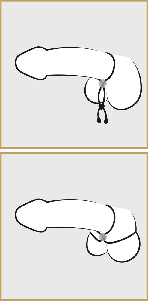 Bad Kitty Cock &amp; Ball Loop