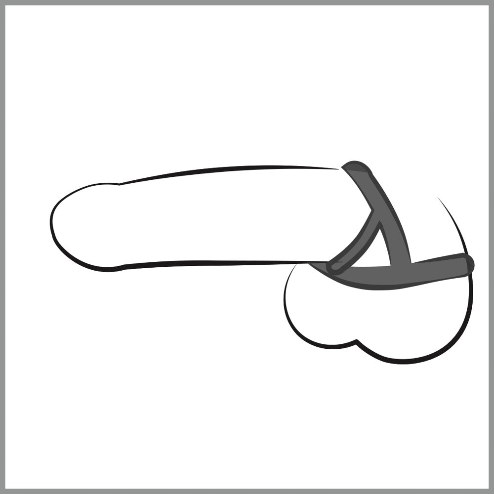 Penis / testikel ring