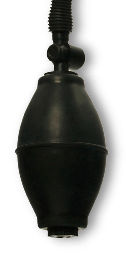 Pussy Pomp met hoge intensiteit