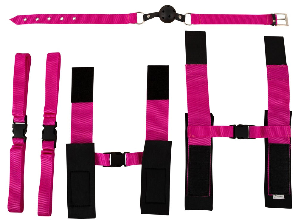 Roze Passie Bondage Kit