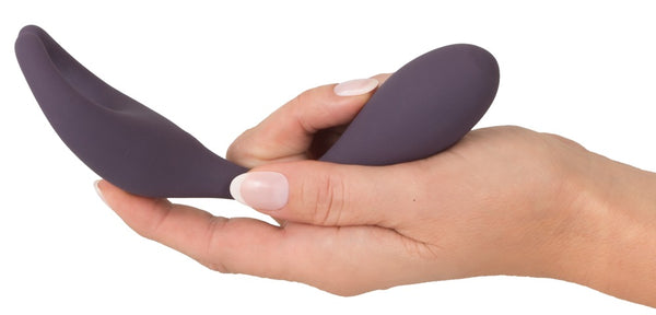 Op afstand bediende vibrator voor koppels - Couples Choice - SKU: 5509650000