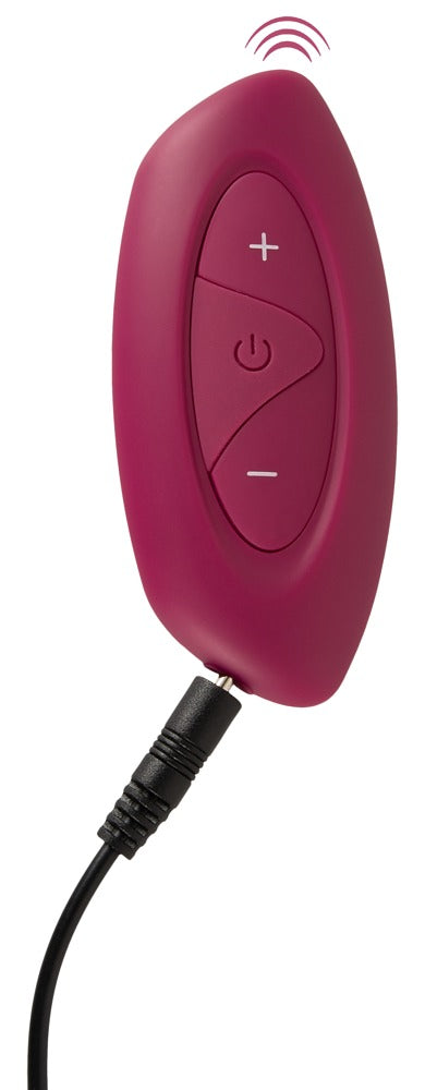 RC Schuddend &amp; Vibrerend Liefdes Ei Duo