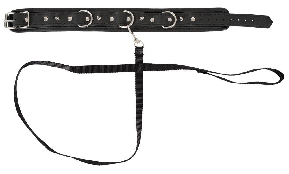 Halsband en riem